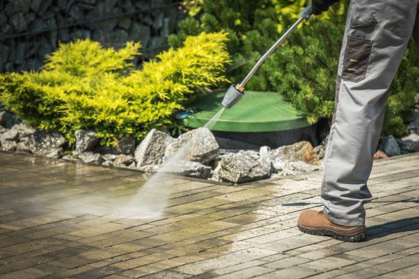 Best Pre-Holiday Cleaning  in Harmony Grove, CA