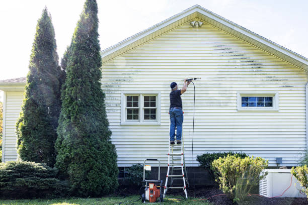 Professional Pressure Washing Services in Harmony Grove, CA